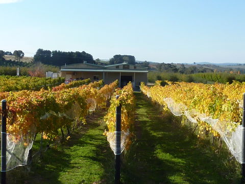 Dindima Wines - Tourism Caloundra 2