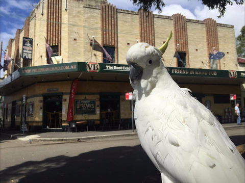 Friend In Hand Hotel - Tourism Caloundra 1