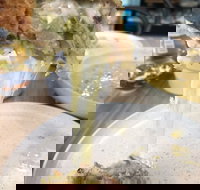 99 - Tourism Caloundra