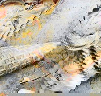 Fritz Gelato - South Yarra - Tourism Caloundra