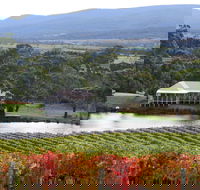 Milton Vineyard - Tourism Caloundra