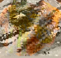 Toro Cafe - Tourism Caloundra