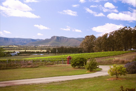 Catherine Vale Wines - Tourism Caloundra 0