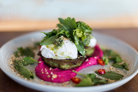 Native - Tourism Caloundra 1