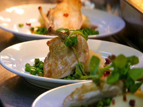 Griffith Exies Club - Tourism Caloundra 1