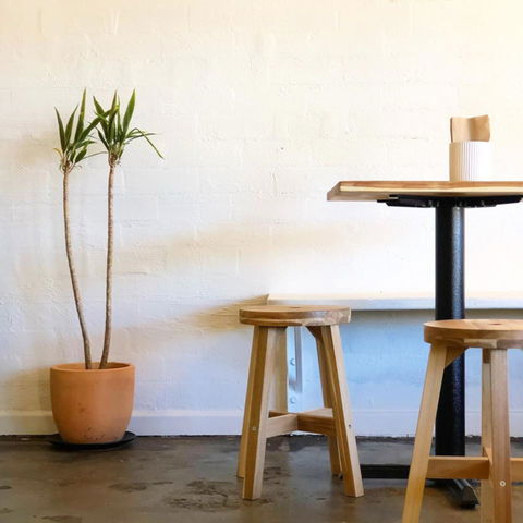 Kopi Lennox - Tourism Caloundra 1