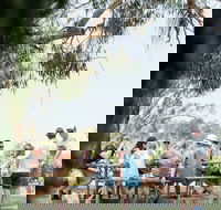 St Leonards Vineyard Caf - Tourism Caloundra