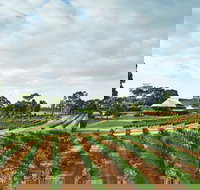 Vasse Felix Winery - Tourism Caloundra