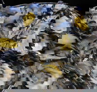 View 42o - Tourism Caloundra