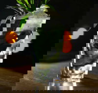 Aperitivo - Tourism Caloundra