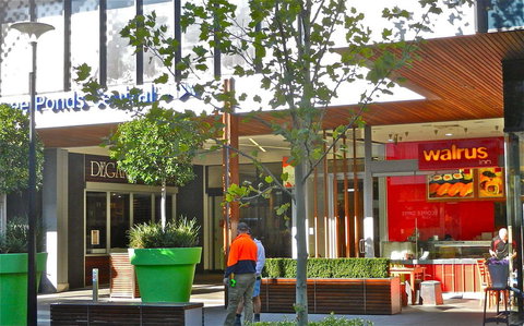 Walrus Japanese - Tourism Caloundra 0