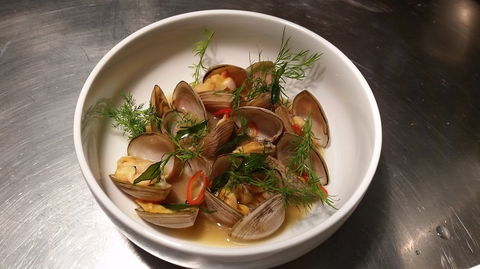 Anchovy - Tourism Caloundra 0