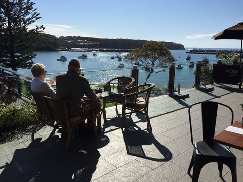 Native. - Tourism Caloundra 0