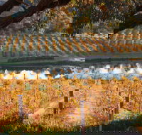 Sanguine Estate - Tourism Caloundra