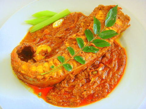Singapore Rajah's Curry - Tourism Caloundra 0