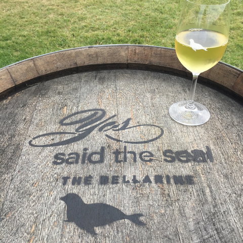 Yes Said The Seal - Tourism Caloundra 1