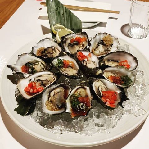 Hikari - Tourism Caloundra 0
