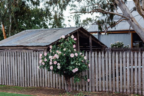 Penny's Hill Winery - Tourism Caloundra 2