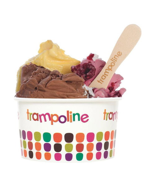 Trampoline Gelato - Doncaster - Tourism Caloundra 0
