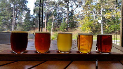 Cubby Haus Brewing - Brewery And Bar - Tourism Caloundra 1