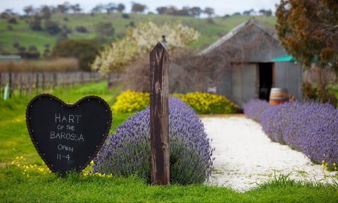 Hart Of The Barossa - Tourism Caloundra 0