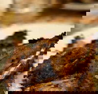 Faheem Fast Food - Tourism Caloundra