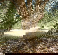 Lentara Grove - Tourism Caloundra