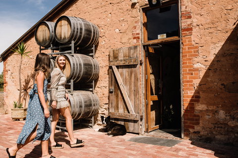 Shingleback Wine - Tourism Caloundra 1