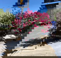 Alpine Gate Cafe - Tourism Caloundra