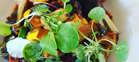 Cafe Moby - Tourism Caloundra 1