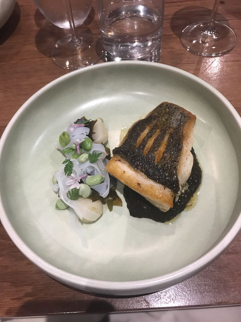 Peacock And Jones - Tourism Caloundra 1
