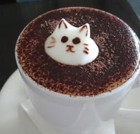Cafe 2340 - Tourism Caloundra