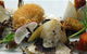 Dal Gourmet Cafe - thumb 6