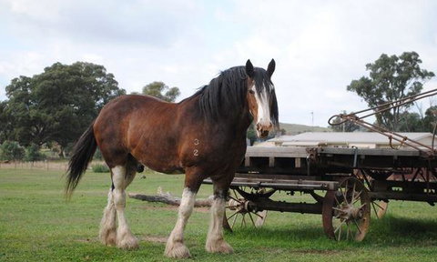 Rollonin Cafe - Tourism Caloundra 4