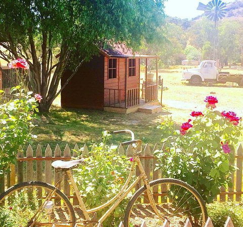 Rollonin Cafe - Tourism Caloundra 7