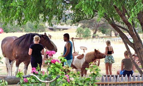 Rollonin Cafe - Tourism Caloundra 8