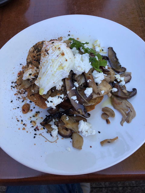 Trail 518 - Tourism Caloundra 4