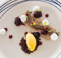 Wild Herring - Tourism Caloundra