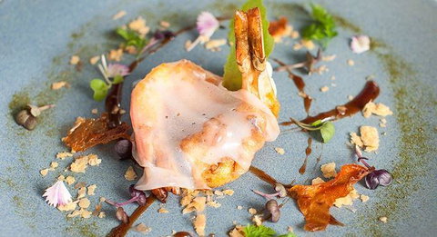 Hobarts - Tourism Caloundra 14