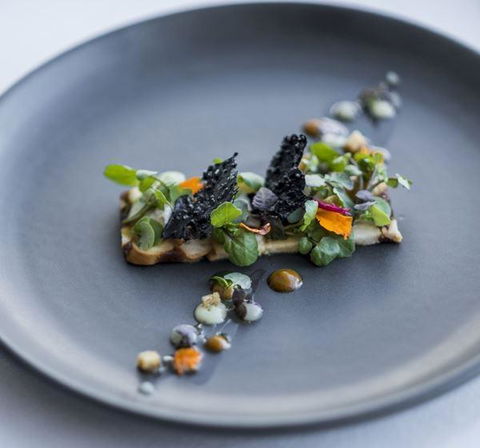 Hobarts - Tourism Caloundra 18