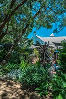 Stilts - Tourism Caloundra 6