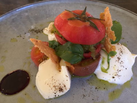 Foglia Di Fico - Tourism Caloundra 0