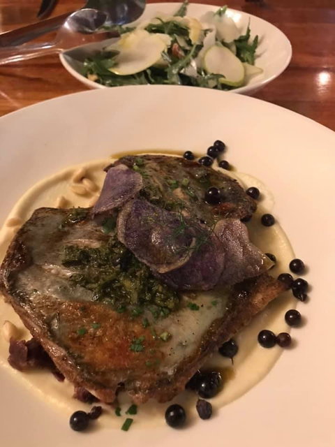 Foglia Di Fico - Tourism Caloundra 2