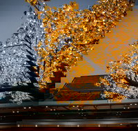 Tradies Helensburgh - Tourism Caloundra