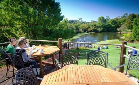 Jakkajan's - Tourism Caloundra 10