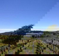 Barringwood Vineyard and Cellar Door Restaurant - Tourism Caloundra