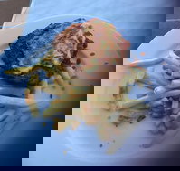 Bayside Inn - Tourism Caloundra