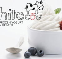 White Cow - Greek Frozen Yogurt Artisan Gelato - Tourism Caloundra