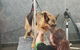 FurBaby Boutique & Cafe - thumb 8