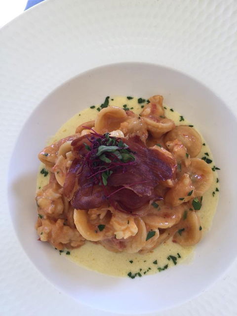 Pinelli Estate Winery Restaurant - Tourism Caloundra 4